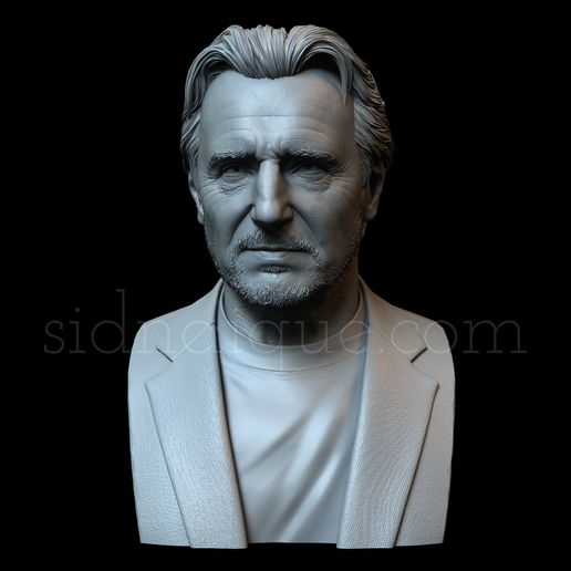 LiamNeeson02.jpg Liam Neeson