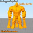 Simplify-2.jpg Hulk  Articulated Assembly & Print-in-Place