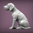 Fila-Brasileiro-puppy4.jpg Fila Brasileiro puppy 3D print model