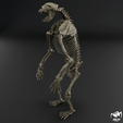 Arctodus-skeleton-3.png Arctodus simus - short faced bear skeleton 3D print model
