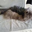 CAT ARMOR