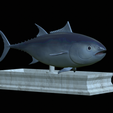 Tuna-model-6.png fish tuna bluefin / Thunnus thynnus statue detailed texture for 3d printing