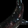 s.jpg SHARK, DOWNLOAD Shark 3D modeL - Animated for Blender-fbx-unity-maya-unreal-c4d-3ds max - 3D printing SHARK SHARK FISH - TERROR  - PREDATOR - PREY - POKÉMON - DINOSAUR - RAPTOR