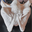zzz.png predator mask. covers mouths