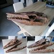 mosa.jpg Mosasaurus Skull 3D Print