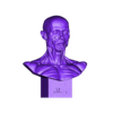 SILVIO VELA ÉCORCHÉ STONE PEDESTAL.stl Bust Écorché  for study + PDF anatomy manual