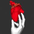 8B971B6B-3C9A-4174-A730-B340305E5FBA.jpeg Artwork Corazón sostenida con una mano / Artwork of a Heart Held in a Hand