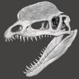 dilophos cranium.jpg STL file Dilophosaurus dinosaur skull・3D print design to download
