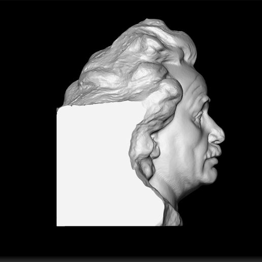 Albert einstein - 3D model önizlemesi