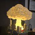 20240706_131916.jpg Fallout Lamp
