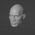 2.png The Rock head
