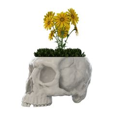 Skull_Vase_01.jpg STL file Skull Vase・3D printable model to download