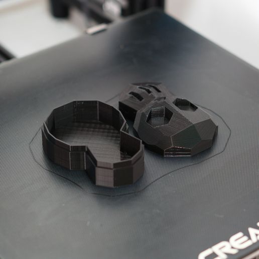 DSC02114.jpg Low Poly Skull Box