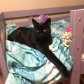 MnMom19