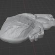 heart-2.png 3D Human Heart