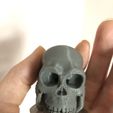 IMG_1251.jpg Detailed Human Skull,  PreSupported