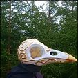 Untitled00108442.jpg Crow Skull Mask