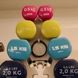IMG_20211012_221231__01.jpg Dumbbell stand - Support pour Haltères