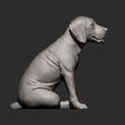 Fila-Brasileiro-puppy10.jpg Fila Brasileiro puppy 3D print model