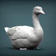 snow-goose3.jpg snow goose 3D print model