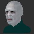 38.jpg Lord Voldemort bust ready for full color 3D printing