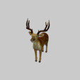 Fallow-deer.png Daim