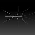 stick_insect2.jpg Phasmids - Stick insect -Phasmatodea