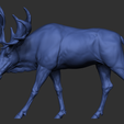19.png Moose