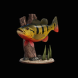 peacock-bass-trophy-natural-2-2-2.png Peacock bass (Cichla ocellaris) fish trophy in motion sculpture 2 underwater detailed texture for 3d printing