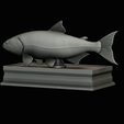 golden-dorado-statue-box-1-38.png fish golden dorado / Salminus brasiliensis with storage space / for 3d printing