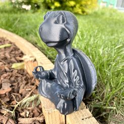 17DCA1E3-CD0F-4021-AD04-FF0D3E04DA2A.jpeg STL file CUTE TURTLE ZEN / ZEN ANIMALS 3・Template to download and 3D print