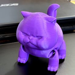 CAT_3.jpg Fichier OBJ FLEXI CAT・Objet pour impression 3D à télécharger