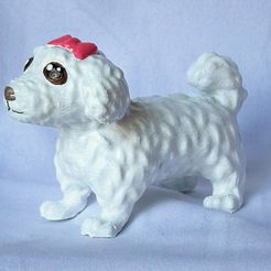 222D1831-5B30-4156-B212-22675EB8397D.jpg STL file Maltese・Model to download and 3D print