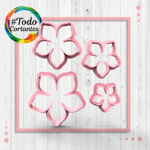 Set flores