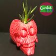 Mars-Attacks-Alien-Skull-Planter.jpg Martian Skull Planter - With or without drainage