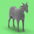 Goat.317.jpg Goat