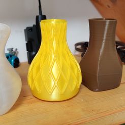 IMG_20220903_103508.jpg 3D Printed Vases