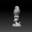 owlll1.jpg Owl - Owl decorative