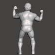Screenshot-1124.png WWE WWF LJN Style Andre the Giant Custom Figure