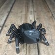 IMG_3025-1.jpg STL file Articulated Jumping Spider _ Print-In-Place Jumping Spider・3D printing design to download