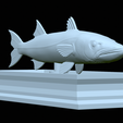 Barracuda-base-23.png fish great barracuda / Sphyraena barracuda statue detailed texture for 3d printing