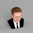 untitled.867.jpg Conan OBrien bust ready for full color 3D printing