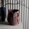 Untitled3.jpg Noctua Aurea – Owl Vas