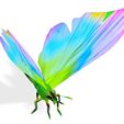 jh.jpg DOWNLOAD BUTTERFLY 3D MODEL - ANIMATED - BLENDER - MAYA - UNITY - UNREAL - CINEMA 4D - 3DS MAX -  3D PRINTING - OBJ - FBX - 3D PROJECT CREATOR BUTTERFLY BUTTERFLY INSECT