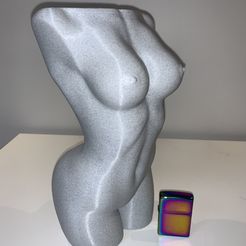 IMG_2451.jpg STL file Vase statuette・Template to download and 3D print