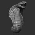 7.jpg Snake cobra