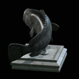 White-grouper-open-mouth-1-12.png fish white grouper / Epinephelus aeneus trophy statue detailed texture for 3d printing