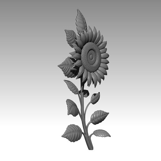 k6.jpg TOURNESOL