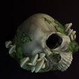 skull-hide-wall-mnt5-edit.png Skull Forest Wall Mounted Hide