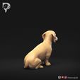 Dachshund-Miniature-Smooth-Haired-Pose-04-Dog-3D-Print-4s.jpeg Dachshund Miniature Smooth Haired Pose 04